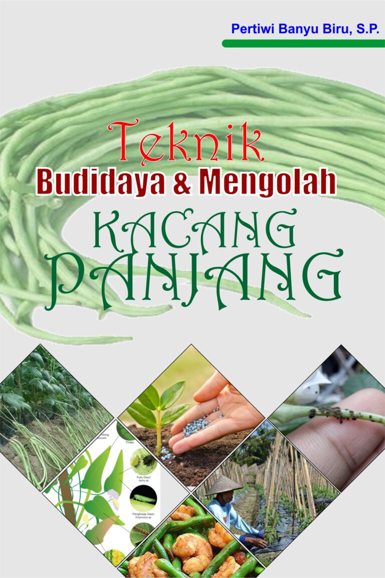 Teknik Budidaya dan Mengolah Kacang Panjang