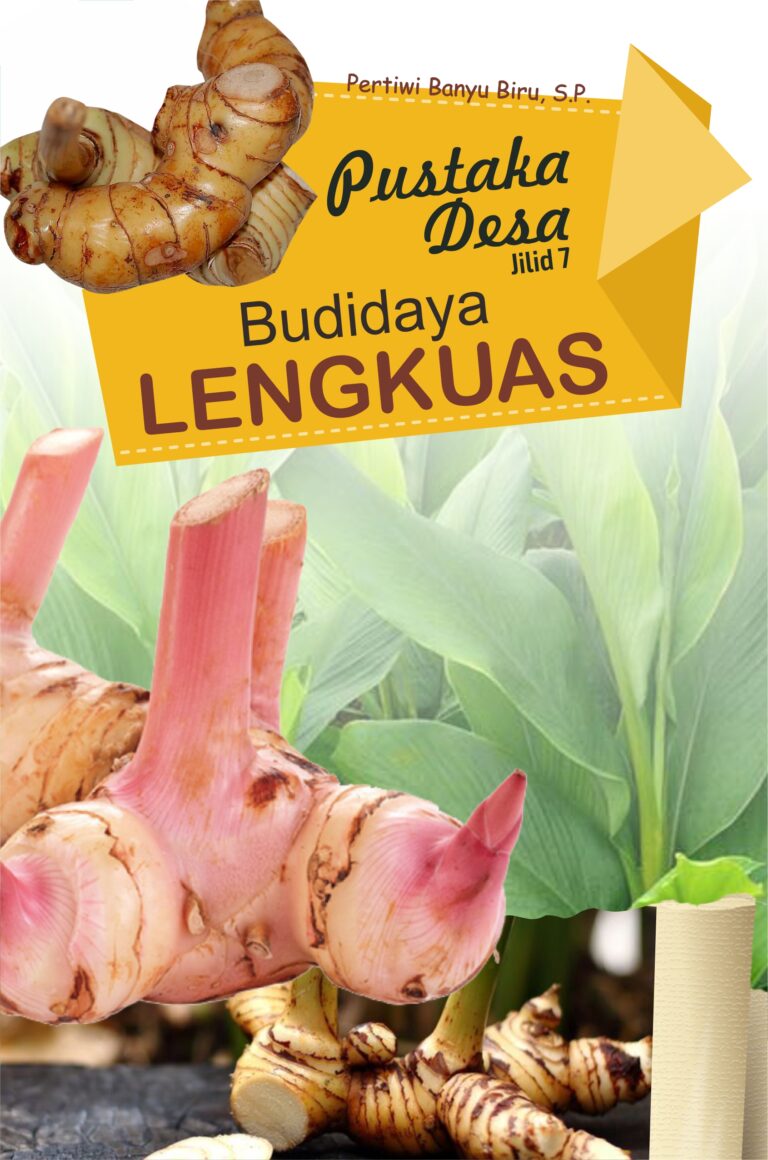 Pustaka Desa Jilid 7 Budidaya Lengkuas